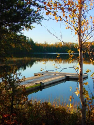Golden Eagle Lodge by null