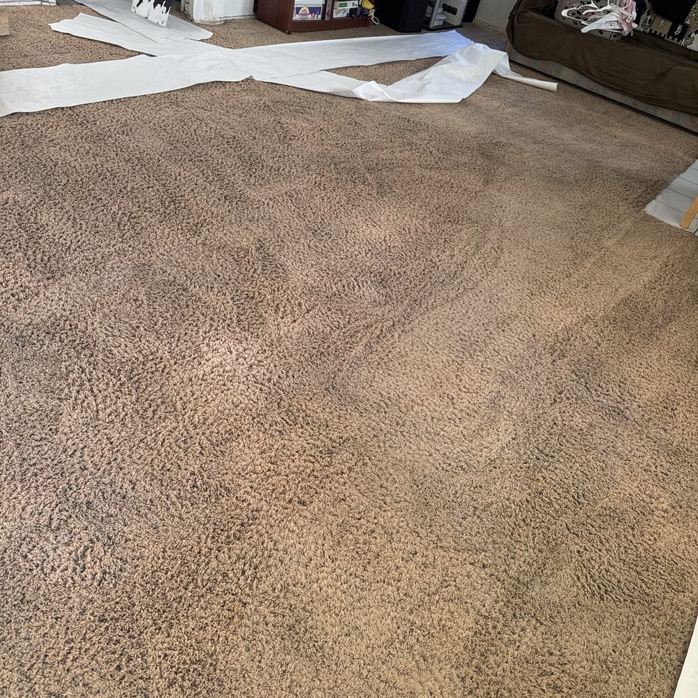 Action Carpet Cleaning - After - Carpet Cleaning Near Me - Torrance, California Action Carpet Cleaning - After - Carpet Cleaning Near Me - Torrance, California