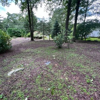 Golden Wolf Landscape & Design - Snow Removal Near Me Golden Wolf Landscape & Design - Snow Removal Near Me