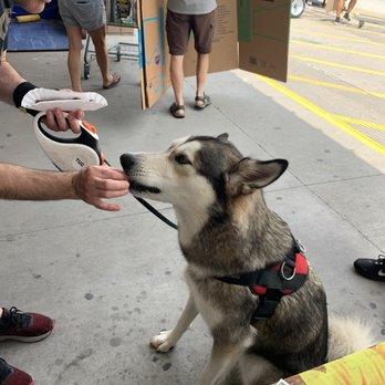 The Hot Dog Guy Catering - a man feeding a dog - Caterers Near Me - Windermere, Florida The Hot Dog Guy Catering - a man feeding a dog - Caterers Near Me - Windermere, Florida