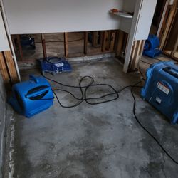 Water-B-Gone - Sewage backup in basement in middle of remediation and drying
