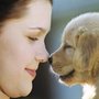 Photo of Happy Tails Pet Care