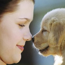 Happy Tails Pet Care