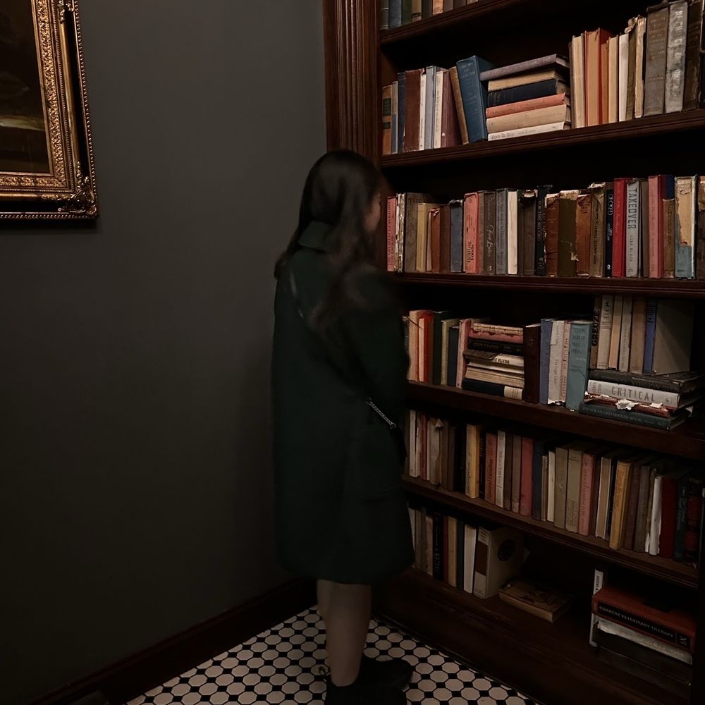205 Dry - You have to pull open the book shelf to get into the restaurant - Speakeasies Near Me - Binghamton, New York
