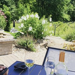 View from the back patio.