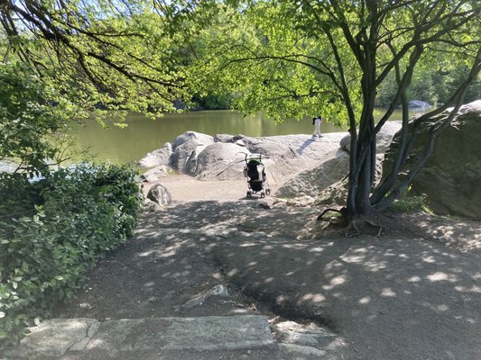 Ladies Pavilion by null