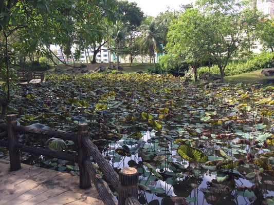 Bishan-Ang Mo Kio Park by null