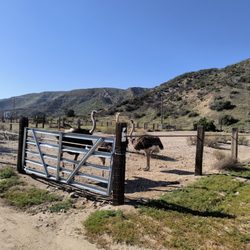 Quail Run Ranch