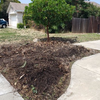 Natural Landscaping - Before - Landscaping Near Me