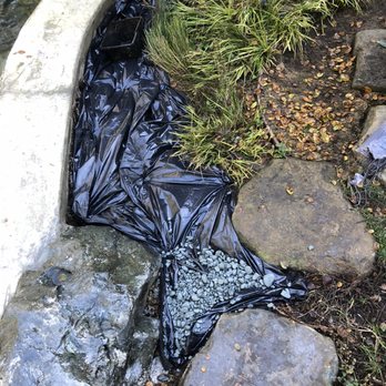 A-1 Complete Landscape And Maintenance - Water plants going in - Landscaping Near Me - San Ramon, California A-1 Complete Landscape And Maintenance - Water plants going in - Landscaping Near Me - San Ramon, California