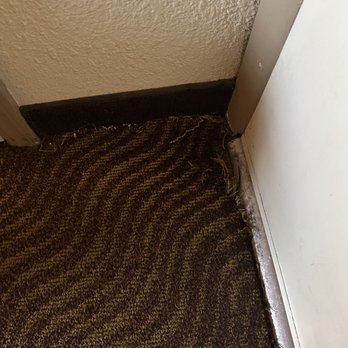 Quality Inn - Carpet by door - Hotels Near Me - Payson, Arizona