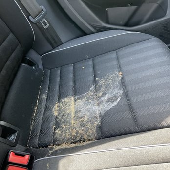Low Country Volkswagen - Dog puke on the seats - Car Dealers Near Me - Mount Pleasant, South Carolina Low Country Volkswagen - Dog puke on the seats - Car Dealers Near Me - Mount Pleasant, South Carolina