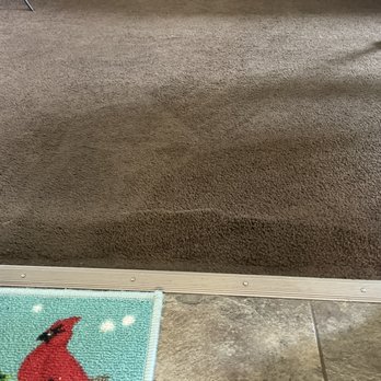 Bob's Affordable Floors - a brown carpet with a red cardinal on it - Carpeting Near Me - New Castle, Delaware Bob's Affordable Floors - a brown carpet with a red cardinal on it - Carpeting Near Me - New Castle, Delaware