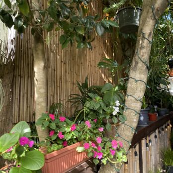 Tea House Spa - Massage Near Me - Santa Cruz, California Tea House Spa - Massage Near Me - Santa Cruz, California