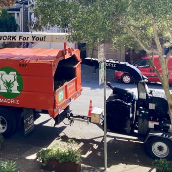 Madriz Tree Service - Professional equipment - Tree Services Near Me - Richmond, California Madriz Tree Service - Professional equipment - Tree Services Near Me - Richmond, California