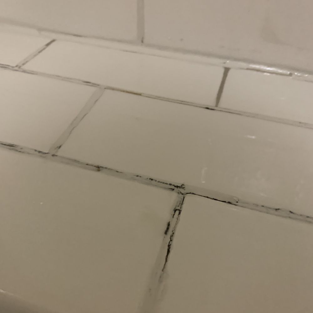 Stonewall Resort - Close up of mold - Hotels Near Me - Roanoke, West Virginia