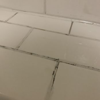 Stonewall Resort - Close up of mold - Hotels Near Me - Roanoke, West Virginia