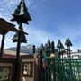 Photo of Mollie Walsh Park