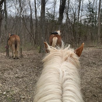 Whispering Woods Riding Stables - Horseback Riding Near Me - Georgetown, Kentucky Whispering Woods Riding Stables - Horseback Riding Near Me - Georgetown, Kentucky