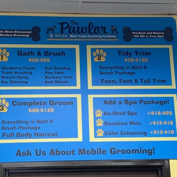 Cat Grooming by Jessica Paws - Pet Training Near Me - Arcadia, California Cat Grooming by Jessica Paws - Pet Training Near Me - Arcadia, California