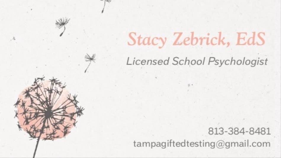 Florida Psychoeducational Evaluations - child therapist in Tampa, FL
