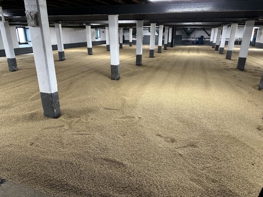 Laphroaig Distillery by null