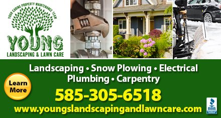 Slide of Young Landscaping & Lawn Care