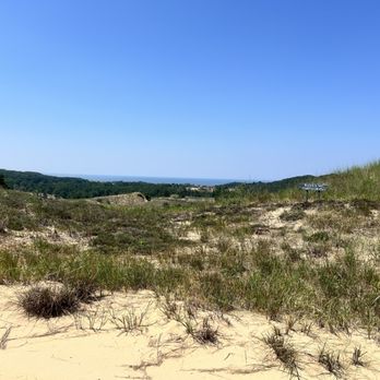 Saugatuck Dune Rides - View from the top of a dune - Tours Near Me - Saugatuck, Michigan Saugatuck Dune Rides - View from the top of a dune - Tours Near Me - Saugatuck, Michigan