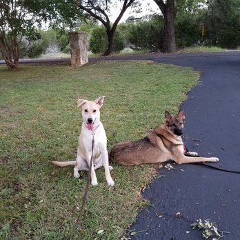 K9 Mastery - Pet Training Near Me - Pflugerville, Texas K9 Mastery - Pet Training Near Me - Pflugerville, Texas