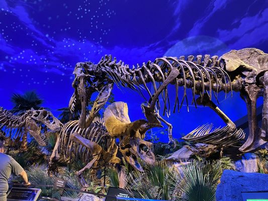 The Children's Museum of Indianapolis by null