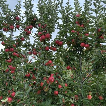 Barden Orchards - Farmers Market Near Me - North Scituate, Rhode Island