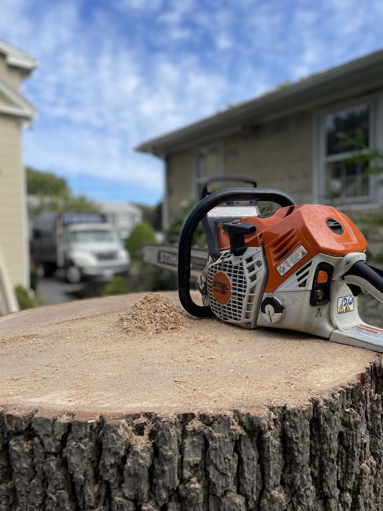 J’s Crew Tree Service - tree service in Lynn, MA