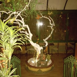 La Salamandra