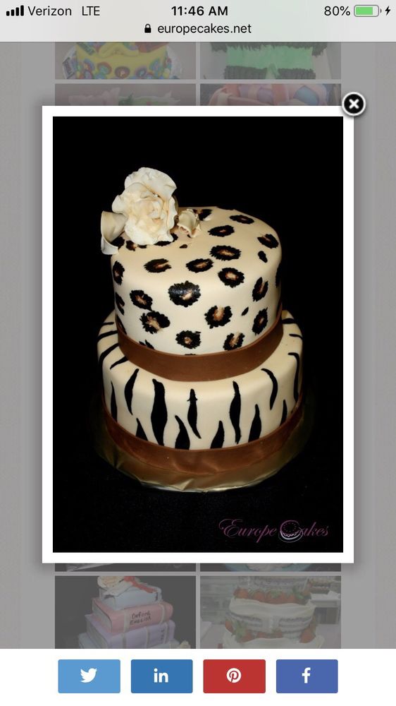 EUROPE CAKES 16 Photos & 12 Reviews Cupcakes 1 Public Square