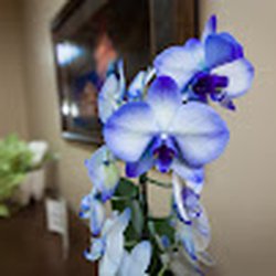 Milford Dental Excellence