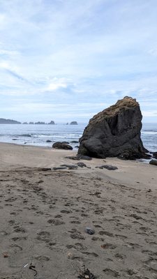 Shi Shi Beach by null