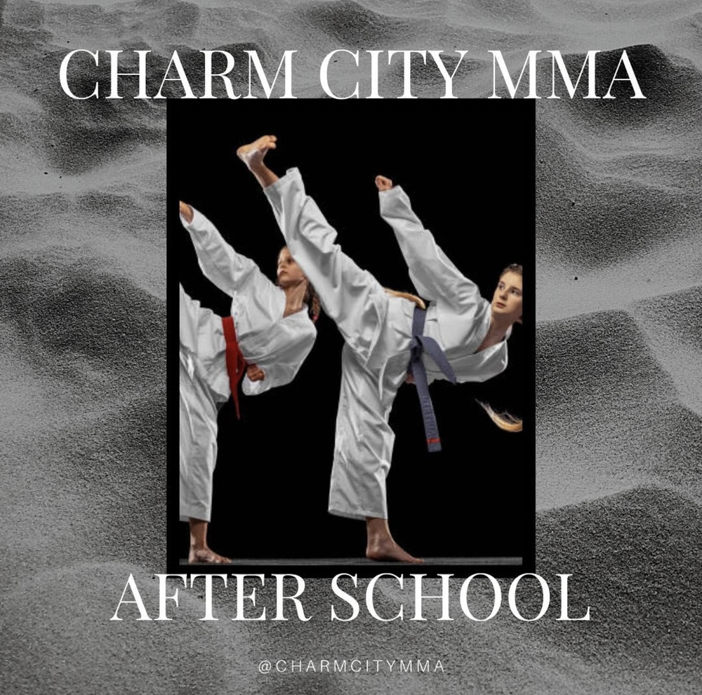 Charm City Mixed Martial Arts Logo