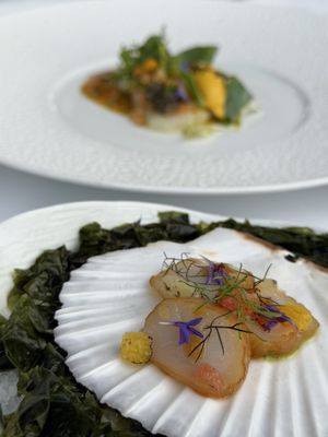 L'Oiseau Blanc by null L'Oiseau Blanc by null