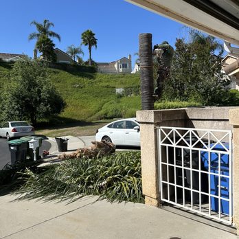 Pineda's Tree Care - Tree - Tree Services Near Me Pineda's Tree Care - Tree - Tree Services Near Me