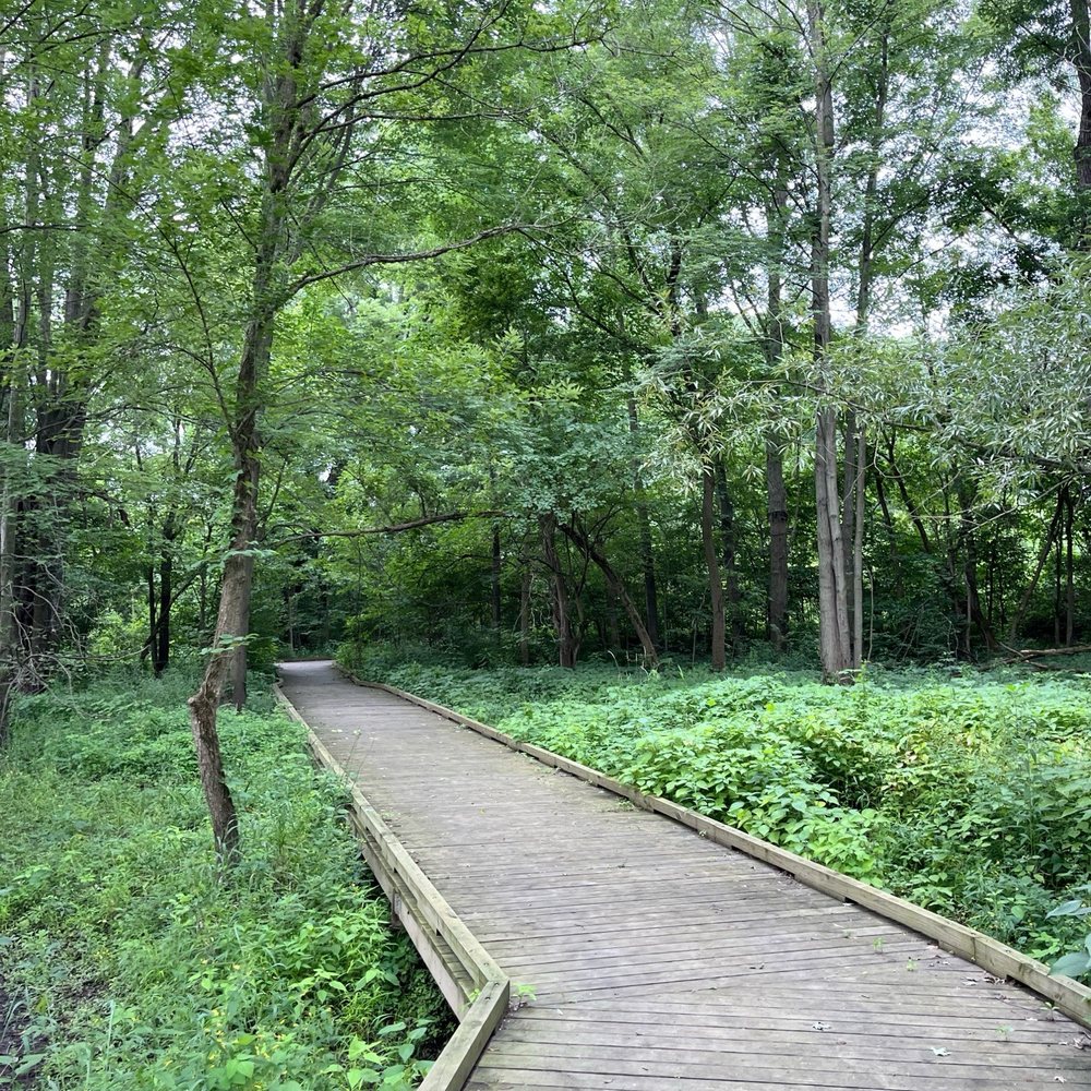 Draper-Houston Meadows Preserve - Hiking Near Me - Milan, Michigan