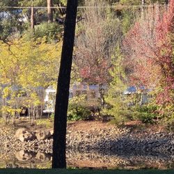 How close the Airstreams actually are. Near a man made pond. False Advertising. These are the "Premium" sites for $350 a night