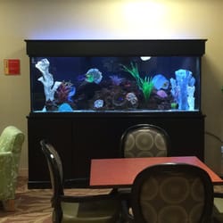 South Cove Manor - Salt water tank