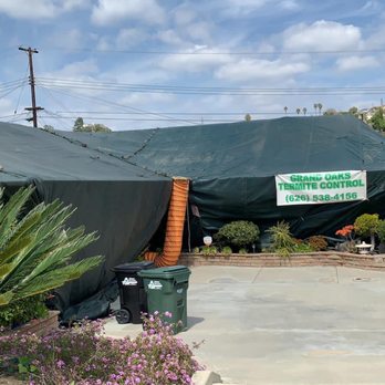 Grand Oaks Termite and Pest Control - Pest Control Near Me - Glendora, California Grand Oaks Termite and Pest Control - Pest Control Near Me - Glendora, California