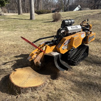 FC Tree Service - Tree Services Near Me