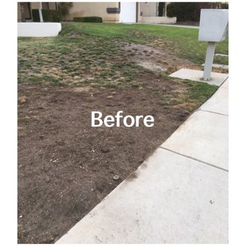 Green Landscape - Landscaping Near Me - Corona, California Green Landscape - Landscaping Near Me - Corona, California