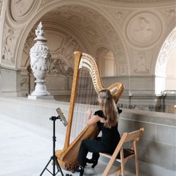 Eleonora Pellegrini, Harpist