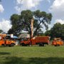 Photo of Howard's Tree Service