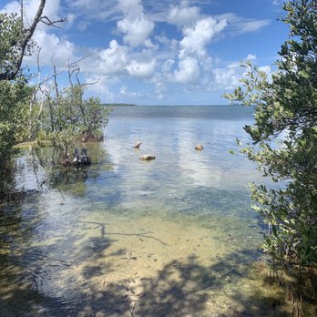 Florida Keys Wild Bird Sanctuary - Animal Shelters Near Me - Tavernier, Florida Florida Keys Wild Bird Sanctuary - Animal Shelters Near Me - Tavernier, Florida