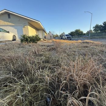 Picture Perfect Lawn - Landscaping Near Me - Fresno, California Picture Perfect Lawn - Landscaping Near Me - Fresno, California