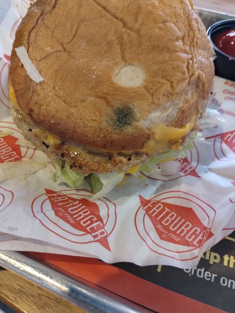 Turkey burger with molded bun. Yelp